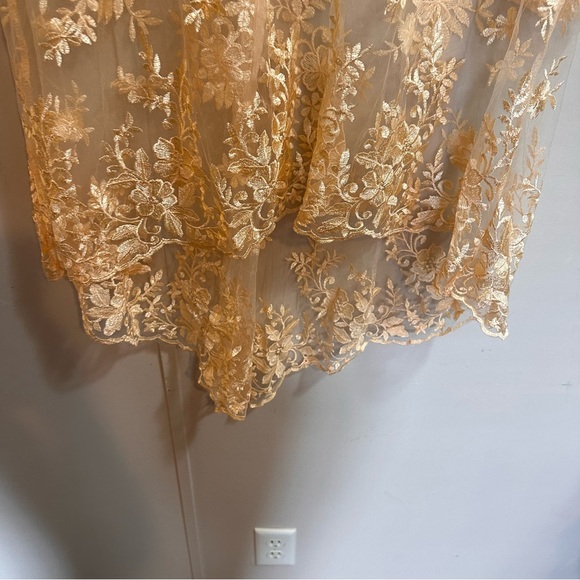 Peachy Lace Sheer Floral Long Sleeve High Low Top Size XL - Picture 5 of 7